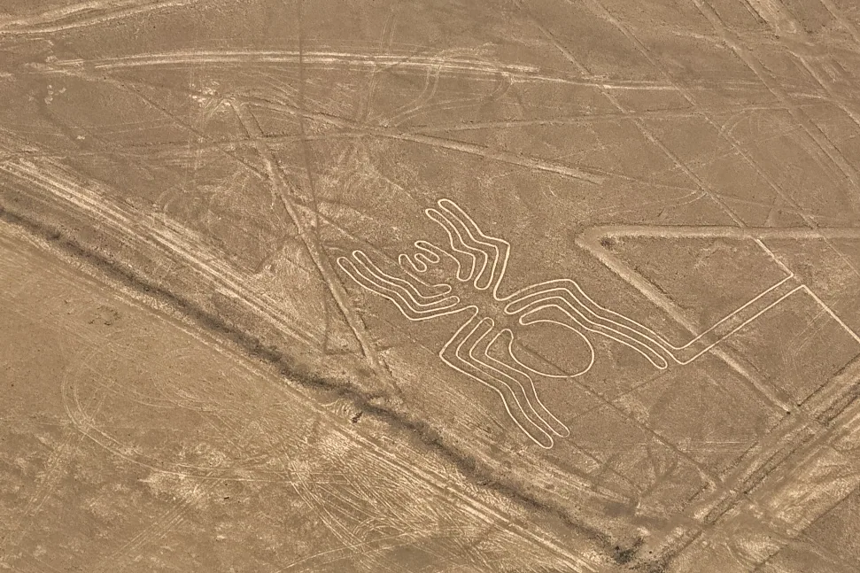 Nazcar Lines Spider – Peru