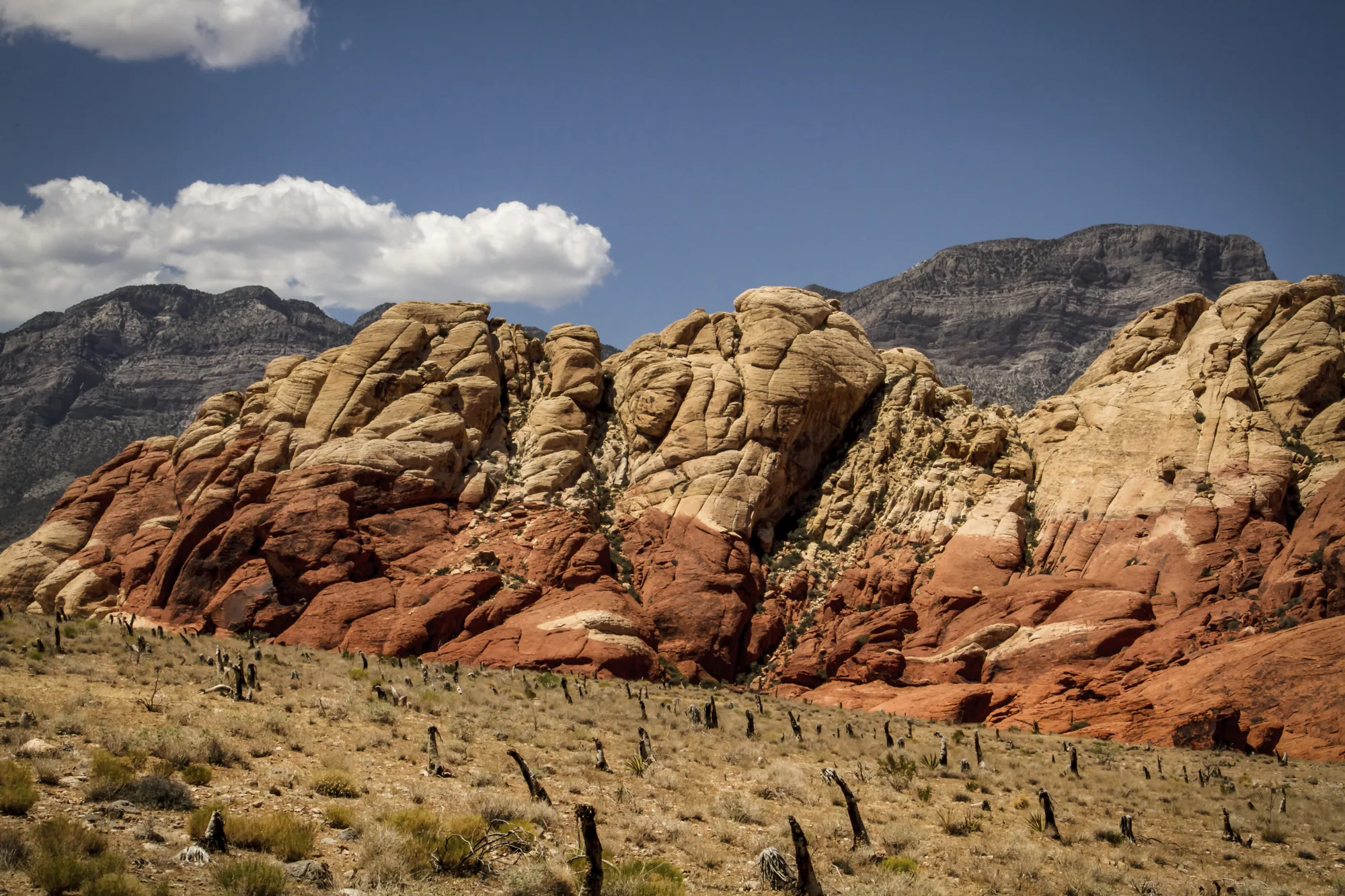 Red Rock – USA